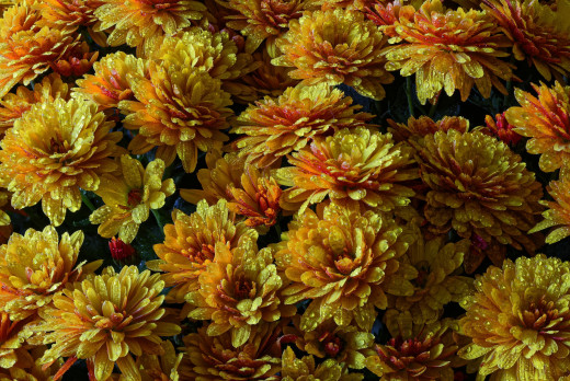 1023112 (a): :2048x1367